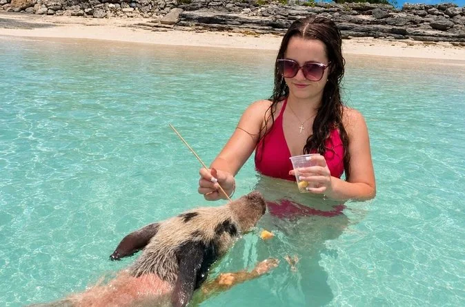 Fast Track Swimming Pigs Encounter