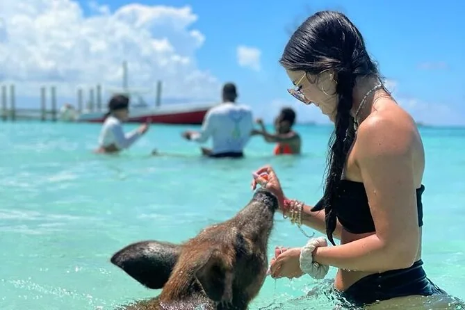 Exclusive Swimming Pigs, Snorkel & Beach Club