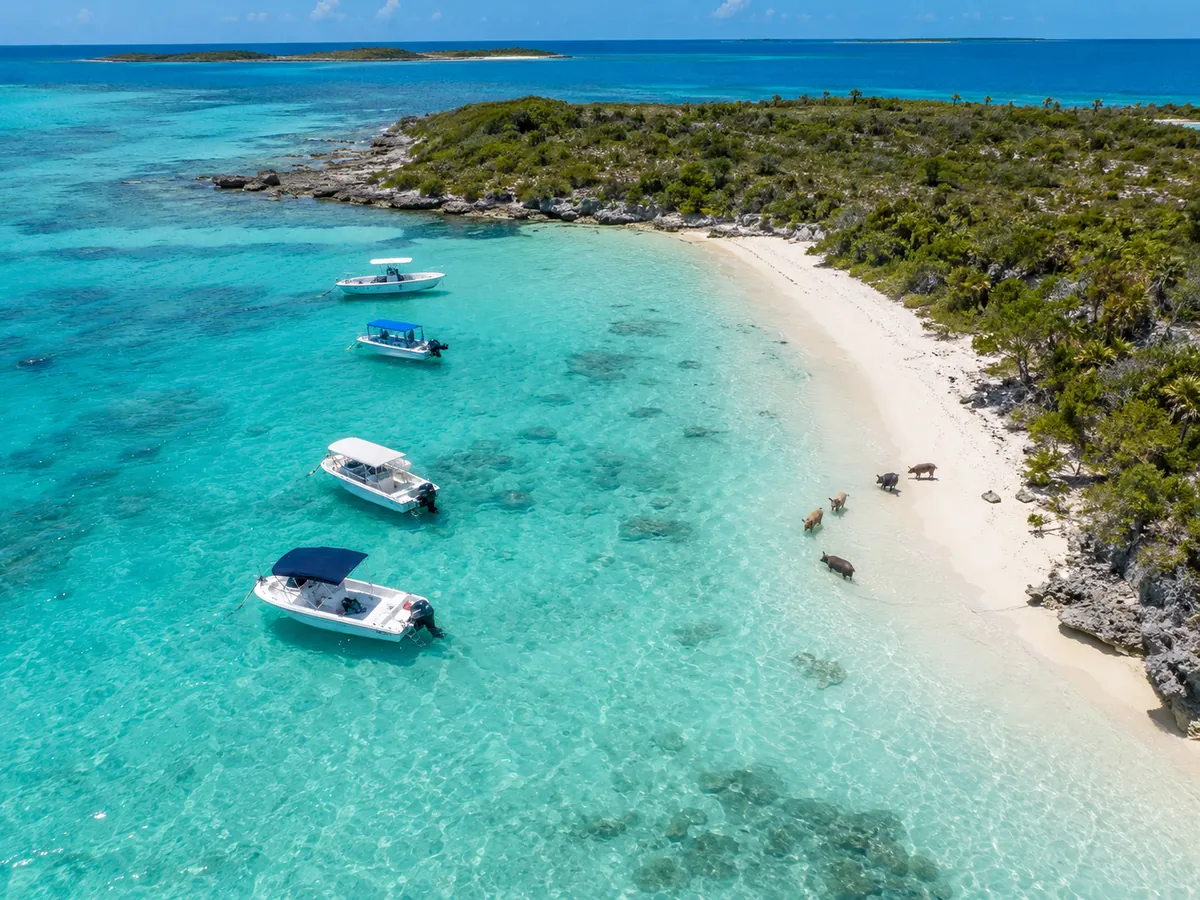 Aerial view of Big Major Cay with pigs on the beach and boats anchored offshore